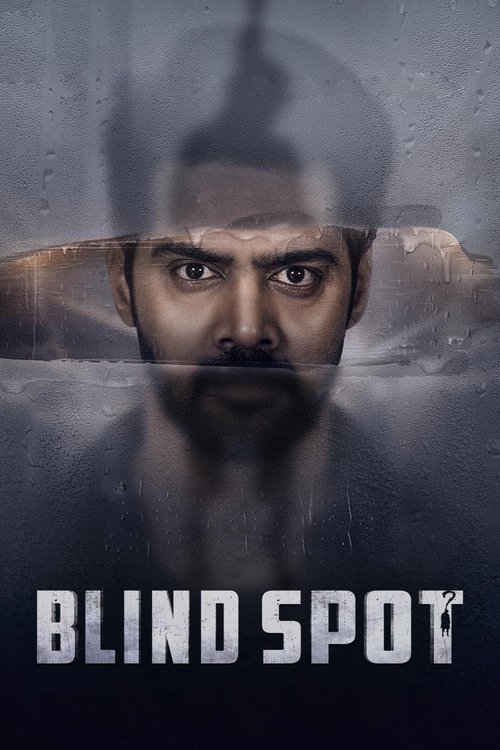 Blind Spot (Telugu)